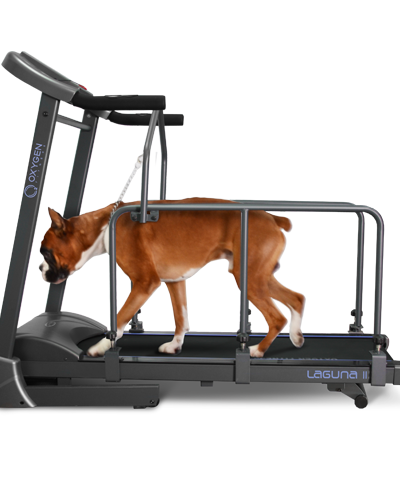 Картинка 10 - Беговая дорожка Winner/Oxygen Laguna II Doggie Edition.